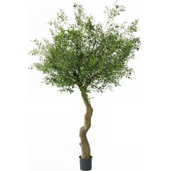 Greenmoods Olijfboom Met Olijven - Olea europaea - Nep plant - 1 Stuk - 270cm