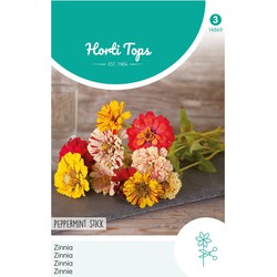 2 stuks - Zinnia Peppermint Stick