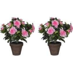 3x stuks groene Azalea kunstplanten met roze bloemen 27 cm met pot stan grey - Kunstplanten