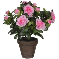 Mica Decorations azalea roze in pot stan grijs (dia 11) maat in cm: 27