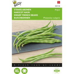 Stamslabonen Haricot Vert Argus zaden