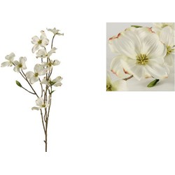 Dogwood tak Fiona M wit