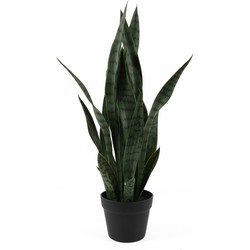 Artificial Plant Sansevieria