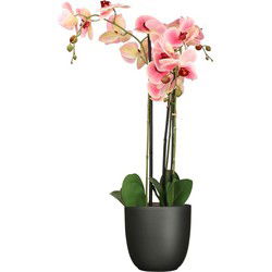 Orchidee kunstplant roze - 75 cm - inclusief bloempot titanium grijs glans - Kunstplanten