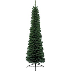 Pencil pine 300cm dia 90 cm groen