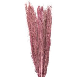 Clayre & Eef Droogbloemen Bruin Droogbloemen