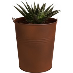 Sunnydays Emmer/plantenpot - zink - roestbruin - D13 x H14 cm - IJzeren emmer / teil