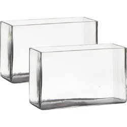 Set van 2x stuks transparante rechthoek accubak vaas/vazen van glas 25 x 10 x 15 cm - Vazen