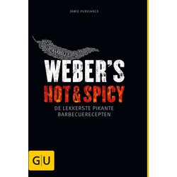 Boeks hot & spicy (nl)