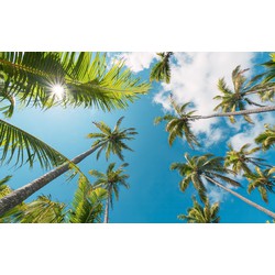 Sanders & Sanders fotobehang palmbomen groen en blauw - 450 x 280 cm - 612688