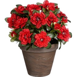 Mica Decorations Azalea Kunstplant in Bloempot Stan - H31 x Ø26 cm - Rood