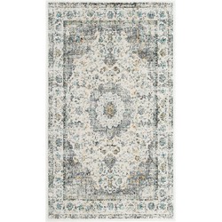 Safavieh Transitional Indoor Woven Area Rug, Evoke Collection, EVK220, in Grey & Gold, 91 X 152 cm