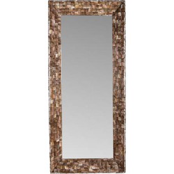 PTMD Spiegel Chelsae - 71x13x161 cm - Polyester - Brons