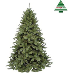 Scandia kunstkerstboom groen d112 h155 cm