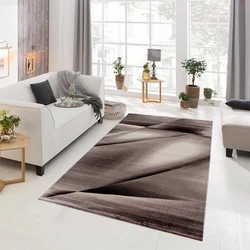 Torino Modern vloerkleed - bruin - 80 X 150 CM