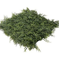EasyLawn Grass Kunstplantenmat wandplant kunststof Fern 1m2