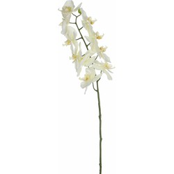 Mica Decorations Kunstbloem Orchidee tak - wit - 71 cm - Kunst zijdebloemen - Kunstbloemen