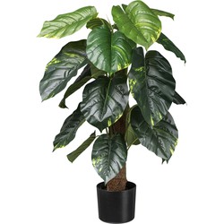 Kopu® Kunstplant Pilondendron Scandens 90 cm - Groen