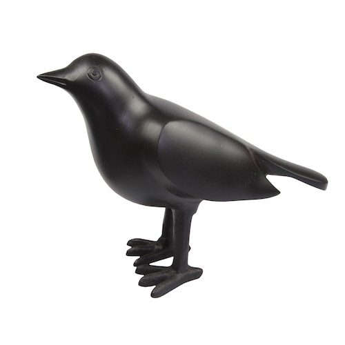 Vogel Zwart - 