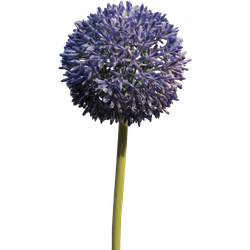 Allium globemaster lavender large 68 cm kunstbloem - Nova Nature