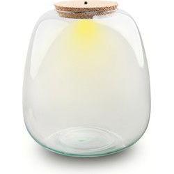 URBANJNGL - Terrarium fles met kurk – Model: Emma met LED-kurk – ↑ 25 cm – Ø 23 cm