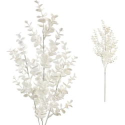 PTMD Leaves Plant Eucalyptus Kunsttak - 38 x 21 x 67 cm - Crème