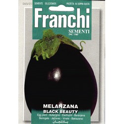 Aubergine, Melanzana Black Beauty 90/21 - Franchi