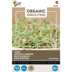 Organic Sprouting Linzen (BIO) - Buzzy