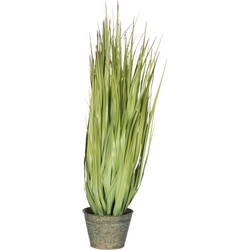 J-line - Grassen Wild In Pot Metaal Groen Plastiek Groen Small - 32x32x68cm