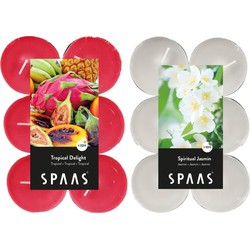 Candles by Spaas geurkaarsen - 24x stuks in 2 geuren Jasmin en Tropical delight - geurkaarsen