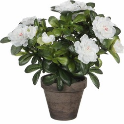 Groene Azalea kunstplanten met witte bloemen 27 cm met pot stan grey - Kunstplanten