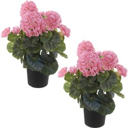 Set van 2x stuks roze geranium Pelargonium Graveolens kunstplanten in zwarte kunststof pot 35 cm - Kunstplanten