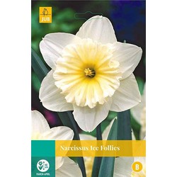 5 stuks - Narcissus Ice Follies 4 bollen