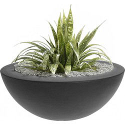 Pro Garden Plantenpot - ronde schaal - kunststof - antraciet - D52 cm - Plantenpotten