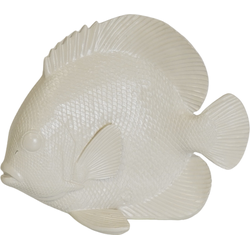 Ornament - Flat Fish - Polyresin - Beige - 19,5x10,5x16cm