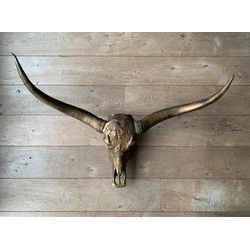 Longhoorn Skull Dierenhoofd - Dierenschedel voor aan de Muur - Bufffelschedel - Skulls Mancave - Longhoorn Brons - 1 Meter