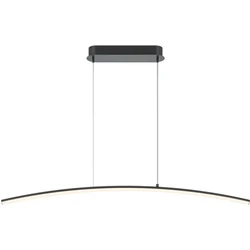 Maytoni - Hanglamp Light Reflection - Zwart