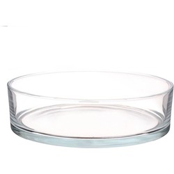 Lage glazen schaal transparant glas cilindervormig 8 x 29 cm - Vazen