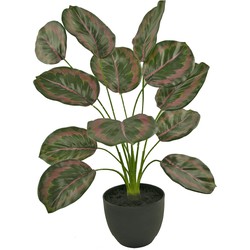 Kunst Calathea 58 cm groen/rood in sierpot zwart