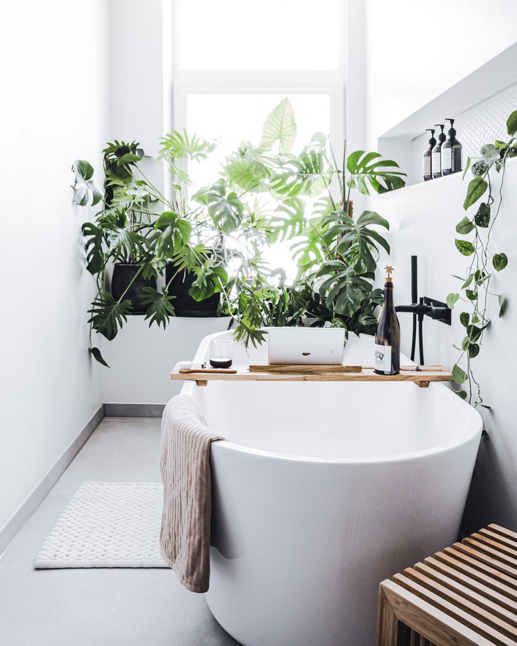 planten badkamer