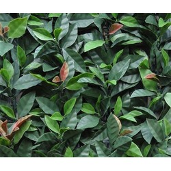 Easydeko Photinia red robin afrasting - 50x50 cm