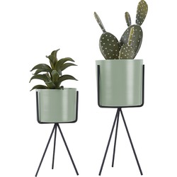 Plant Pot Set Pedestal