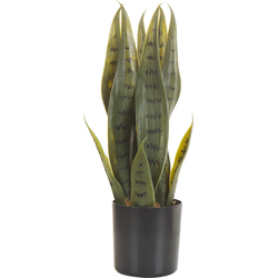 Beliani SNAKE PLANT - Kunstplant-Groen-Synthetisch materiaal