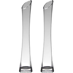 Hakbijl glass bloemenvaas - Set van 2x stuks - transparant - D7 x H35 cm - glas - Vazen