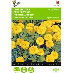 2 stuks - Tagetes patula nana Yellow Boy