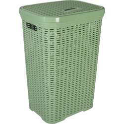 Hega Hogar Wasmand met deksel Rotan - groen - kunststof - 60L - 34 x 43 x 62 cm - Wasmanden