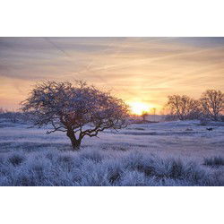 Tuinschilderij winter wonderl 70x50
