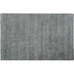 MSV Badkamerkleedje/badmat tapijt voor de vloer - lichtgrijs - 40 x 60 cm - Badmatjes
