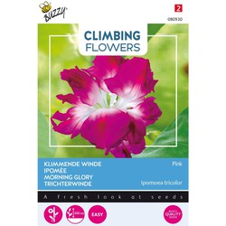 3 stuks - Flowering climbers ipomoea dubbel rose