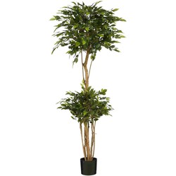 Mica Decorations Kunstboom Ficus Natasja - 50x50x150 cm - Polyester - Groen